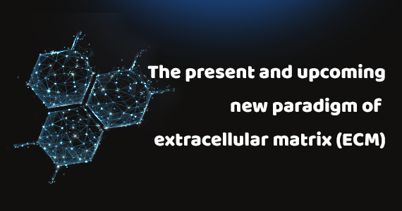 细胞外基质（ECM）的研究现状与展望<br>The present and upcoming new paradigm of extracellular matrix (ECM)