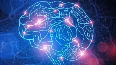 2018脑科学与类脑智能前沿研讨会