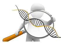 Science:全球首例人体内基因编辑试验实施
