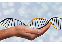 强生达成新合作 基因疗法治疗阿兹海默病
