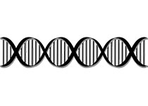 基因编辑2.0：经典CRISPR系统已经不够用了