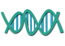 多元自动化基因组编辑技术研究取得进展