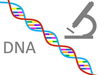 基因治疗时代到来：常用基因治疗载体的介绍与选择