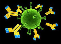 细胞治疗临床招募272人 有望打破肝细胞癌免疫细胞治疗空白